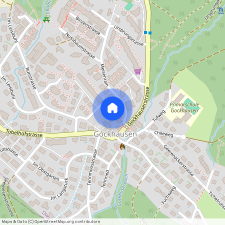 Spirackerstrasse 22, 8044 Gockhausen