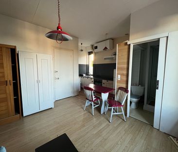 Location Appartement 1 pièce 22m² - Photo 1