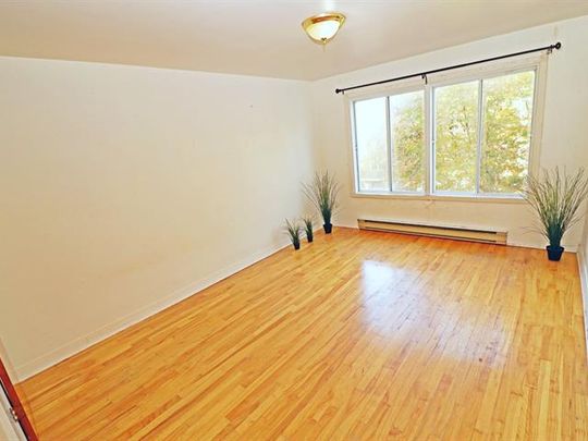 3509 Rue Soubirous - Photo 1