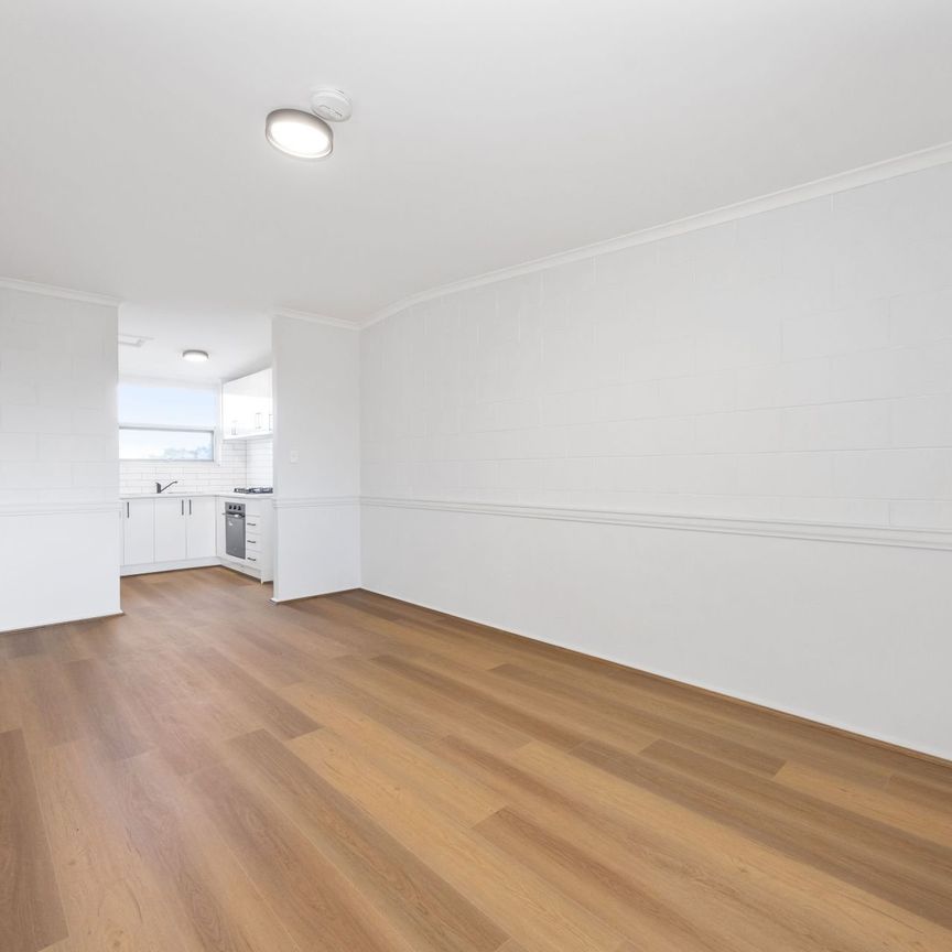 Fully renovated unit with private courtyard! - Photo 1