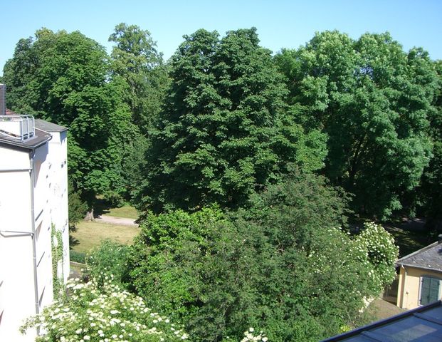 Gemütliche 2-Zimmer-Gründerzeitwohnung mit Wohnküche im Bonner Musikerviertel - Foto 1