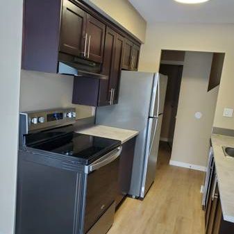 SPACIOUS FULLY RENOVATED TWO BEDROOM TOWNHOUSE - Photo 4