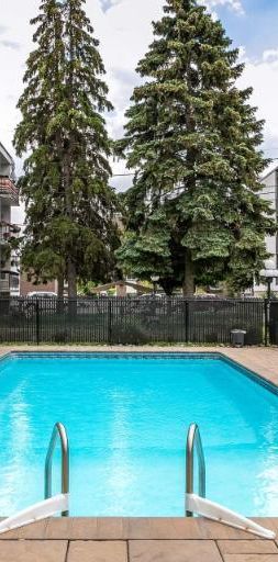 GRAND ET LUMINEUX 3.5 DISPONIBLE 1ER NOVEMBRE!! - Photo 1