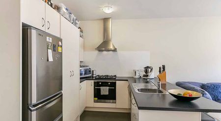 Spacious Sunny home in Lyall Bay - Photo 4