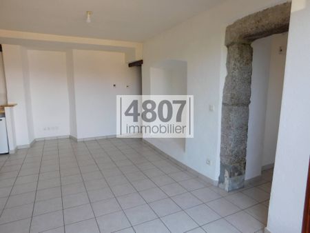 Location appartement 3 pièces 57 m² à La Roche-sur-Foron (74800) - Photo 4