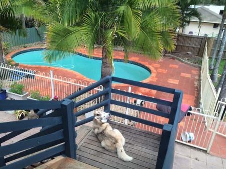 Molendinar - Photo 4