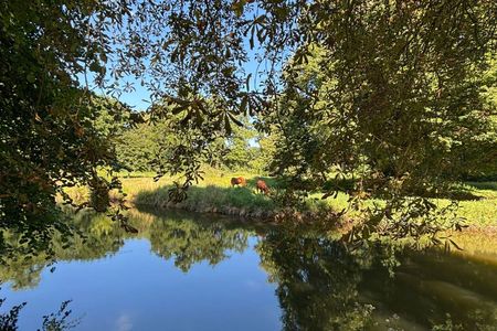 Damlaan 6-B, Verspreide huizen Eefde, 7211CJ - Photo 3