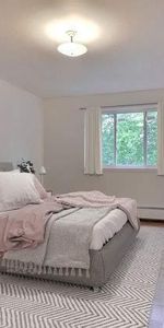 1 CH - 1 SDB - Montréal - $1,250 /mo - Photo 3