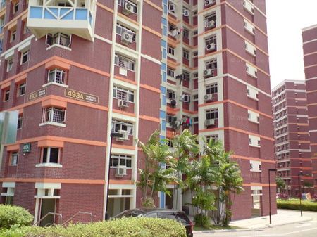 Blk 493A Tampines Avenue 9 (Tampines), HDB 5 Rooms - For Rent - Photo 2