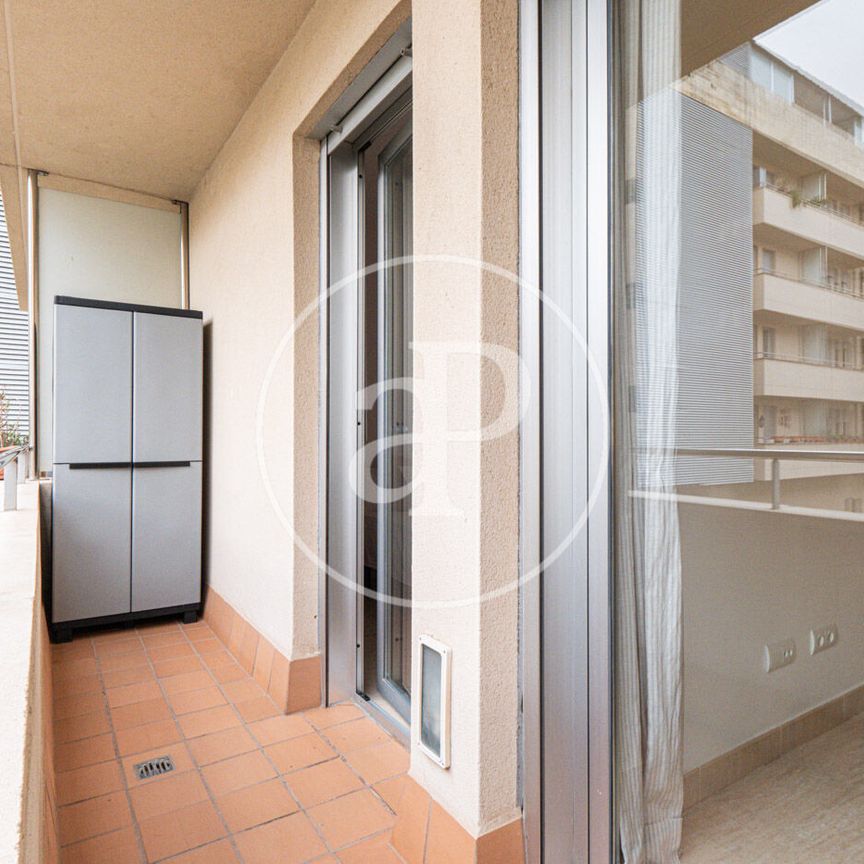 Apartment for rent in Palma - Photo 1