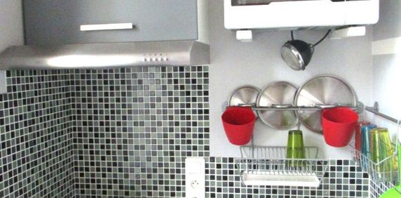 Location Appartement 1 pièce 14m² - Photo 2