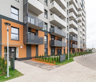Łódź, Polesie, Srebrzyńska - Zdjęcie 6