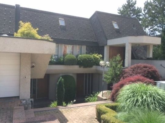 Quiet and sunny location, 3.5-room apartment in Küsnacht - Foto 1