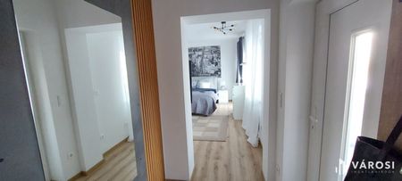 Vadiúj csinos apartmanok kiadók családi házas környezetben - Fotó 5