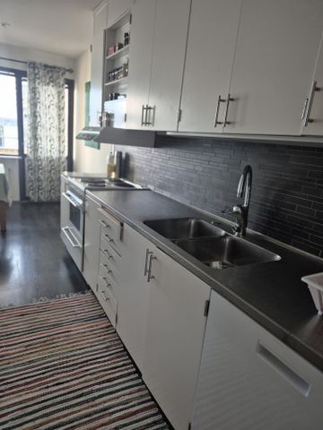 Östra Kristinelundsvägen, Malmö - Foto 5