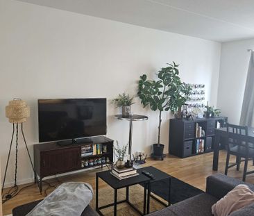 Arkens Väg - Photo 1