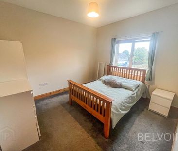 1 Causeway Meadows, Lisburn, BT28 2GD - Photo 3