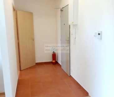 Cihlový 1+kk v centru Adamova - Fotografie 5
