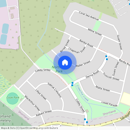 33 Waller Street, Shortland