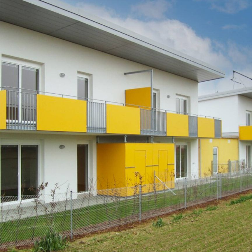 Gartenwohnung in Oberndorf an der Melk - Photo 2