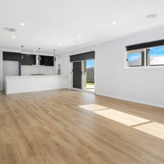 Brand-new Afonso build! - Photo 1