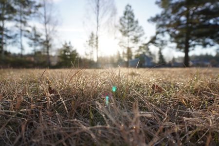 Idrottsvägen, Rosenfors - Foto 4