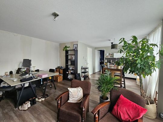 Te huur: Appartement Koeriersterweg in Groningen - Foto 1