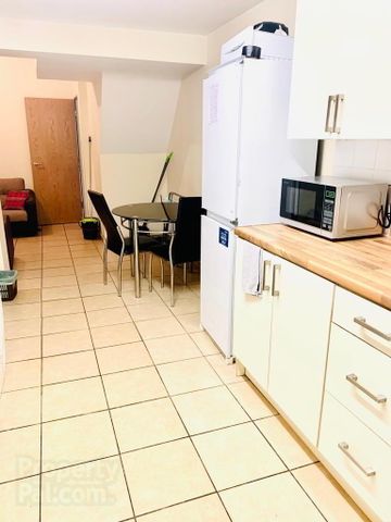 Balfour Avenue, Room 5, BT72EX, Belfast - Photo 3