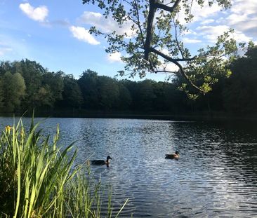 Frisch sanierte 1-Zimmer-Wohnung mit großer Loggia am Siemensdamm! - Foto 5