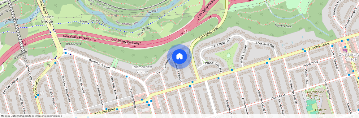 33 Davies Crescent Unit# Lower, Toronto