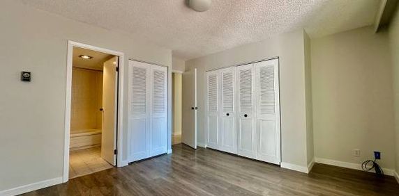 Amazing 1bed/1bath condo - Photo 2