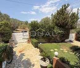 Μονοκατοικία για ενοικίαση - Ανάβυσσος - Photo 6