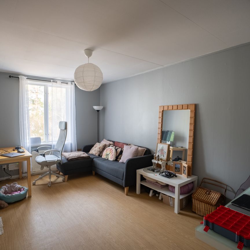 Marieberg, Bjärtrå - Foto 1