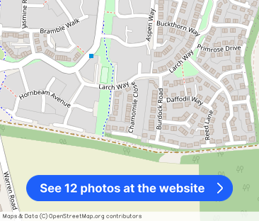 Chamomile Close, Red Lodge, IP28 8XY - Photo 1