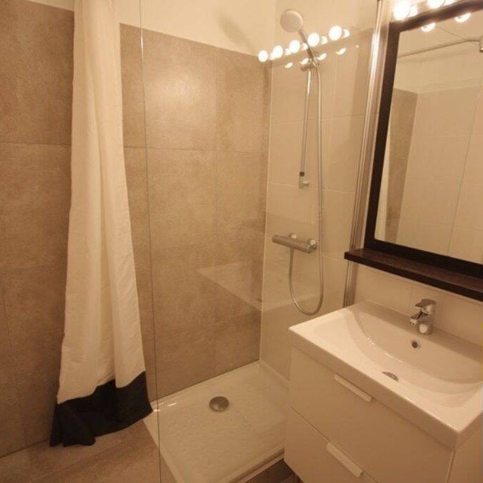 Location appartement Grenoble 38000 1 pièce 25.8 m² - Photo 1