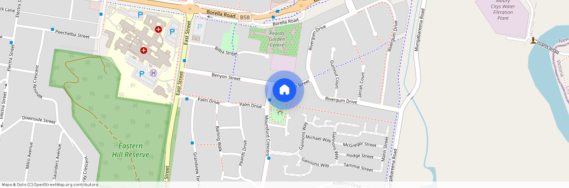 113 Benyon Street, NSW 2640, East Albury