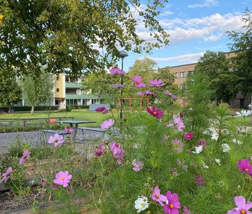 Hålsjögatan 41, Bellevuegården - Photo 1