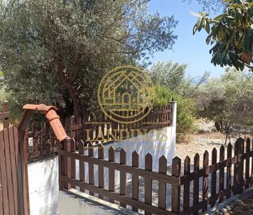 Μονοκατοικία για ενοικίαση Μαγούλα (Ερέτρια) - Photo 6