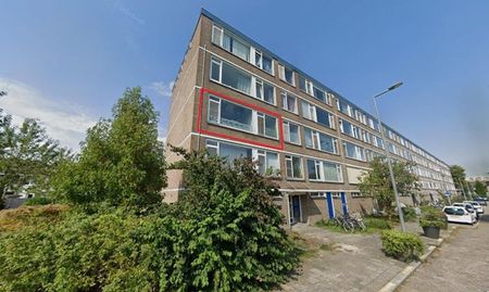 Te huur: Kamer Miltonstraat in Rotterdam - Photo 5