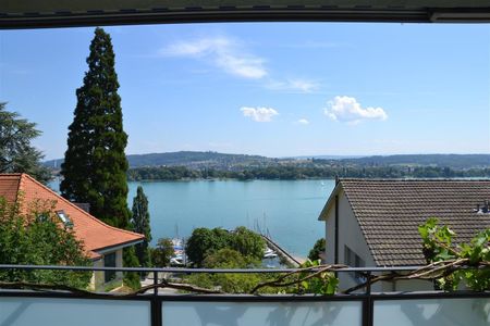 "Wunderschöne Alpen- / Seesicht und Gartensitzplatz" - Photo 3