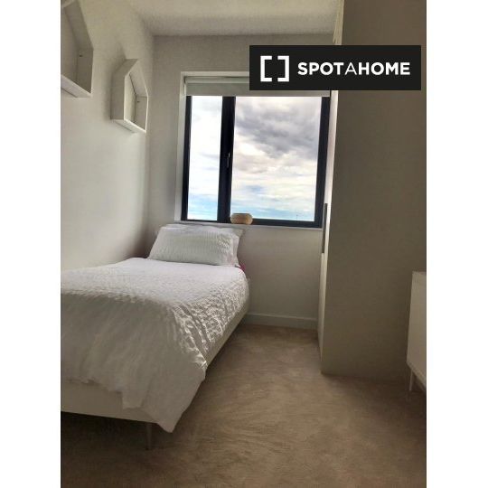 Room in a shared flat for rent in Dublin - Photo 1