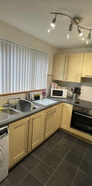 26 Walnut Grove, 26 Walnut Grove Walnut Grove, Larne, BT40 2WS - Photo 1