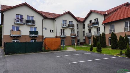 Pronájem bytu 1+kk a garsoniéry 33 m² - Photo 3
