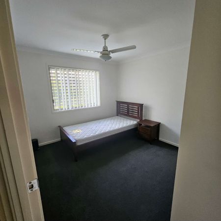 Albany Creek - Photo 4