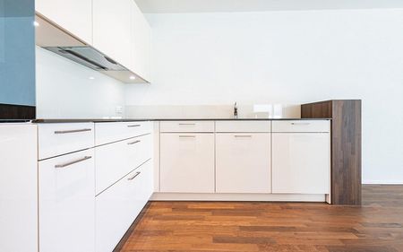 Wunderschöne 4.5 Zimmer-Wohnung in Schaffhausen! - Photo 2