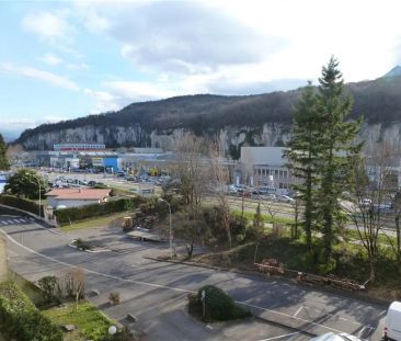 Location appartement 2 pièces - 37.8m² à Fontaine (38600) - Photo 2