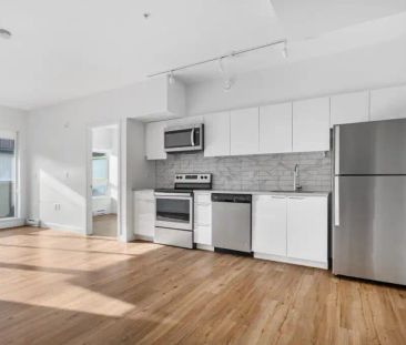 Galt Street Flats — 2 Bedroom 1 Bathroom - Photo 6