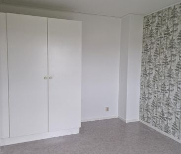 Kolja F, Rinkaby - Photo 4