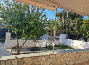 Μονοκατοικία για ενοικίαση - Μαρκόπουλο, - Photo 2