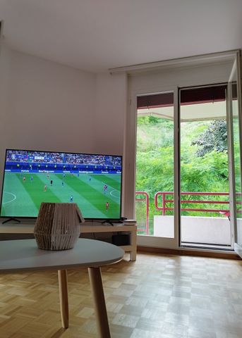 2-ROOM APARTMENT IN CORSIER-SUR-VEVEY (VD), FURNISHED, TEMPORARY RENTAL - Photo 3